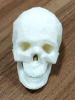 جمجمه تزئینی فانتزی رومیزی برند شیکان